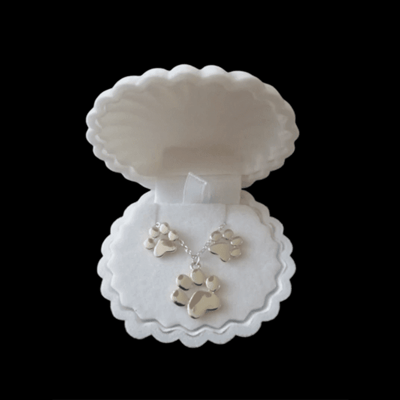 Petite Boite à Bijoux - Trip Passion